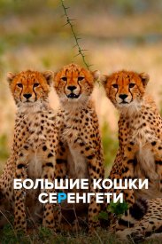 Большие кошки Серенгети