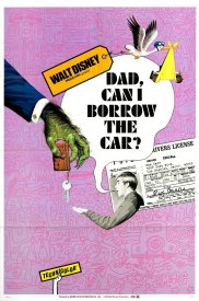 Dad... Can I Borrow the Car?