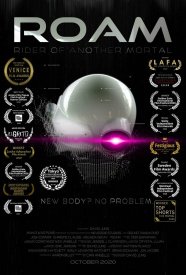 Корпорация ROAM