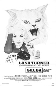 Преследование