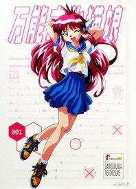 Универсальная современная девушка-кошка