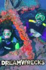 Dreamwrecks