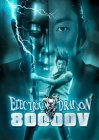 Электрический дракон 80 000 Вольт