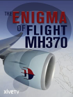 MH-370's Enigma