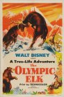 The Olympic Elk